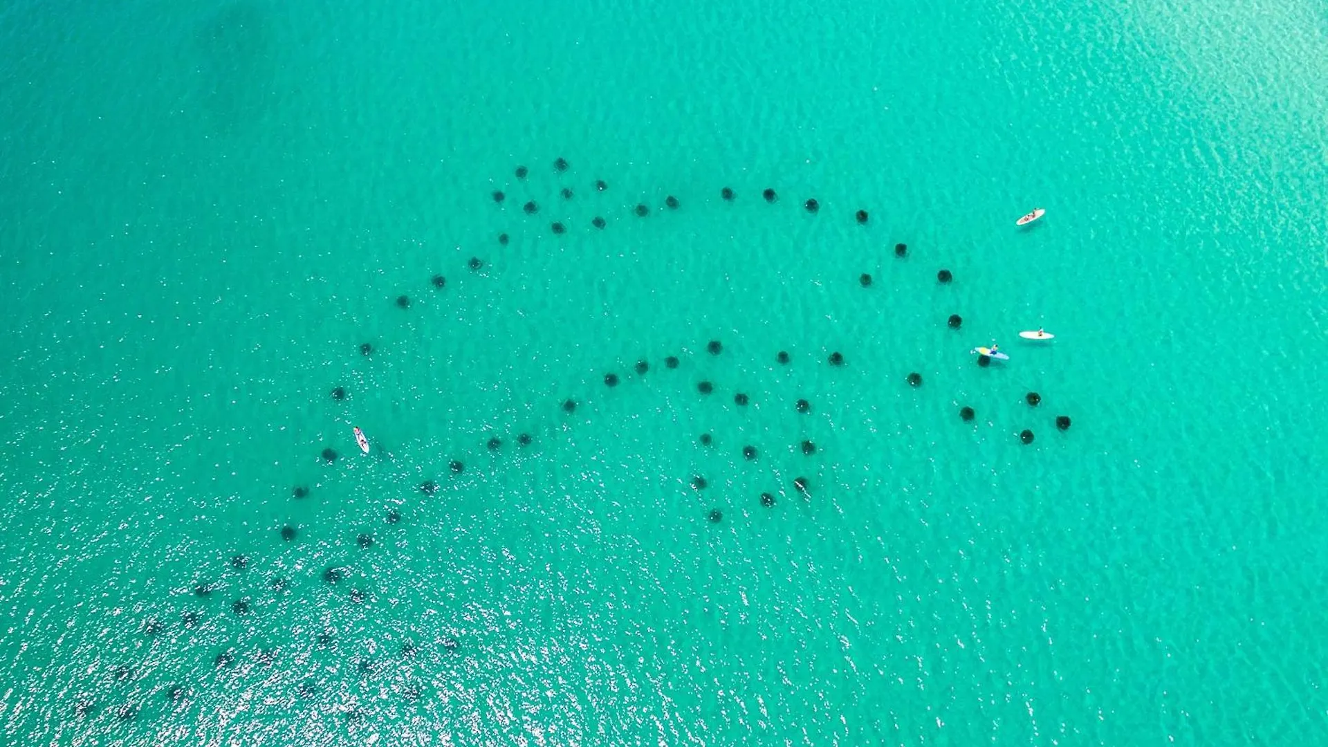 Sandpiper Cove 9133- By Holiday Isle Properties Destin United States